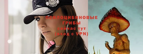 ГАЛЛЮЦИНОГЕННЫЕ ГРИБЫ Баксан