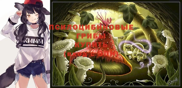 бошки Балахна