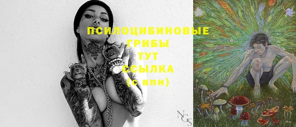 бошки Балахна