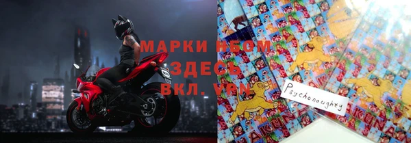 ГАЛЛЮЦИНОГЕННЫЕ ГРИБЫ Баксан