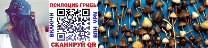 Галлюциногенные грибы мицелий  дарнет шоп  Нижняя Салда 